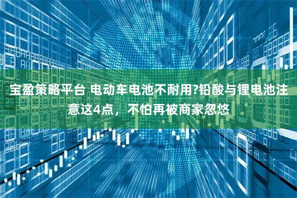 宝盈策略平台 电动车电池不耐用?铅酸与锂电池注意这4点，不怕再被商家忽悠