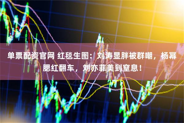 单票配资官网 红毯生图：刘涛显胖被群嘲，杨幂腮红翻车，刘亦菲美到窒息！